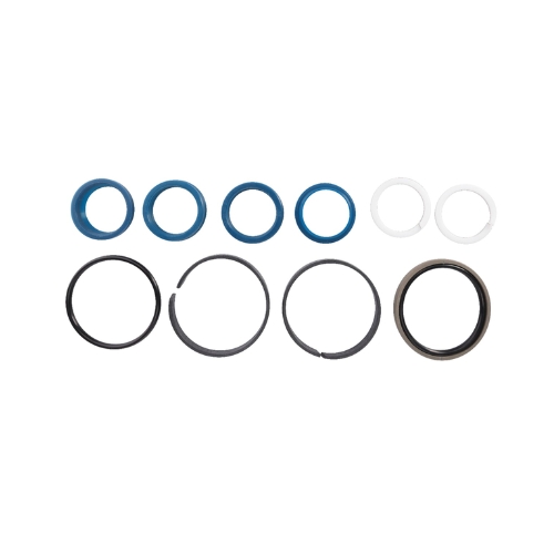 Seal Kit Power Steering Ram OGNIB