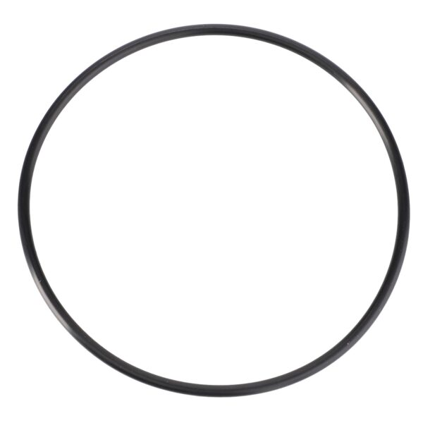 Oil Filter Housing O Ring