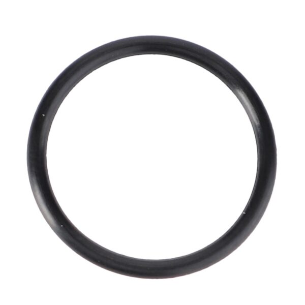 O Ring 17.1X1.6
