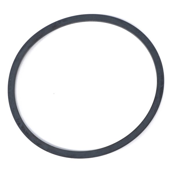 CAV Filter Housing O Ring