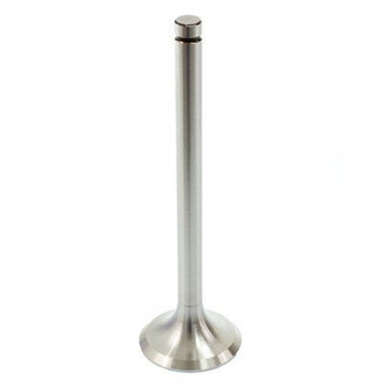 Zetor Exhaust Valve